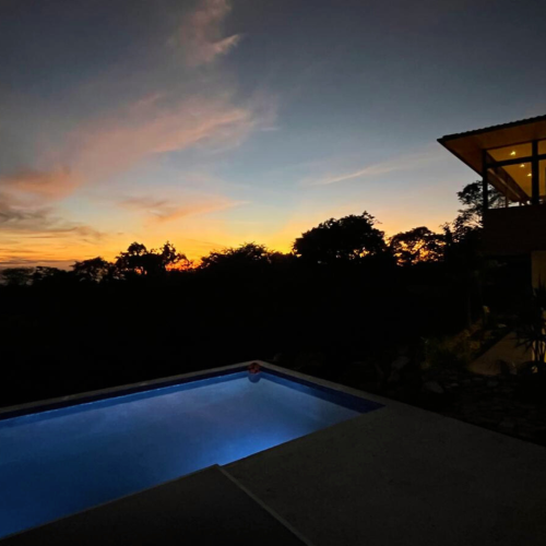 wild-maderas-large (1)