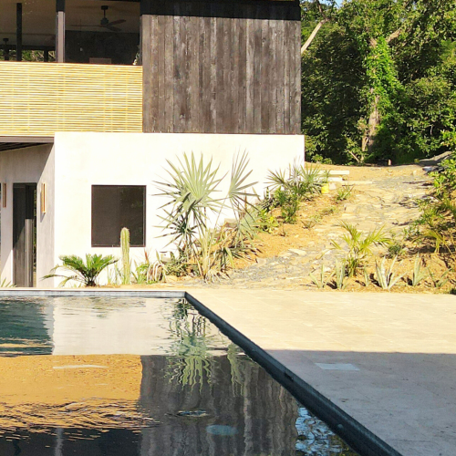 wild-maderas-large (3)