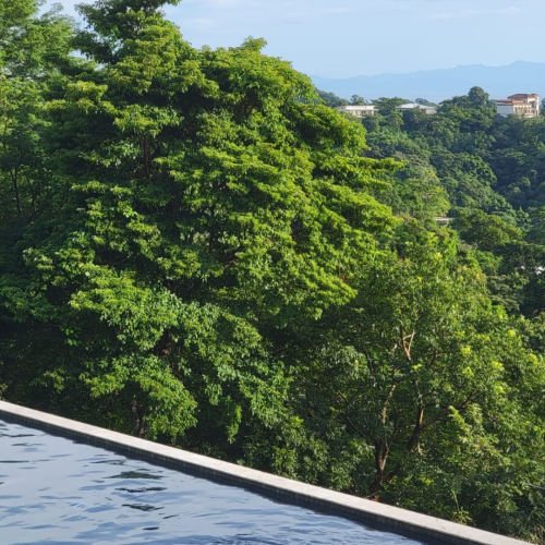 wild-maderas-large (7)